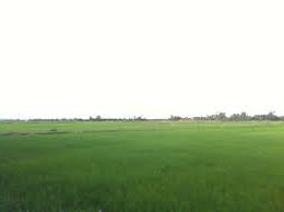 Hình ảnh Lưu Vệ, Thanh Hóa