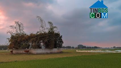 Hình ảnh Hải Bình, Thanh Hóa