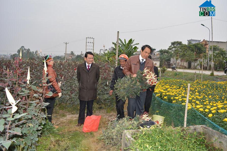 Hình ảnh Hàm Rồng, Thanh Hóa