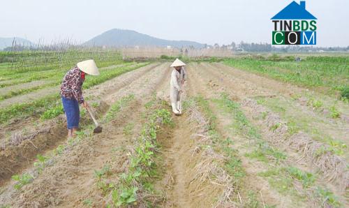 Hình ảnh Hoằng Sơn, Thanh Hóa