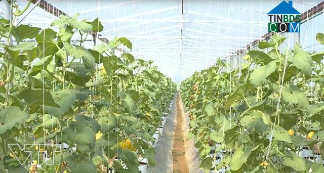 Hình ảnh Nga Thắng, Thanh Hóa