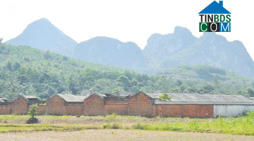 Hình ảnh Ngọc Lặc, Thanh Hóa