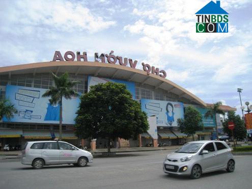 Hình ảnh Hạc Thành, Thanh Hóa