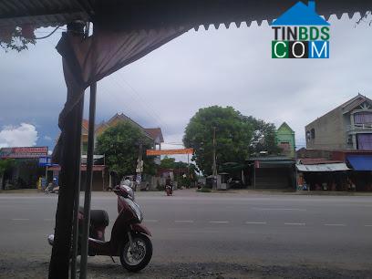 Hình ảnh Tân Dân, Thanh Hóa