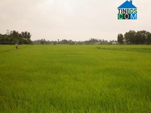 Hình ảnh Hoa Lộc, Thanh Hóa