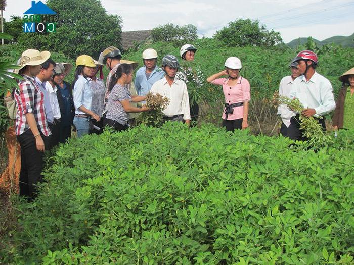 Hình ảnh Phong Điền, Huế