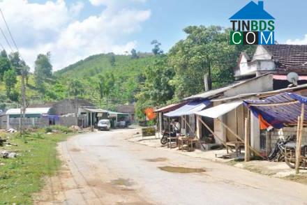 Hình ảnh Thắng Lộc, Thanh Hóa