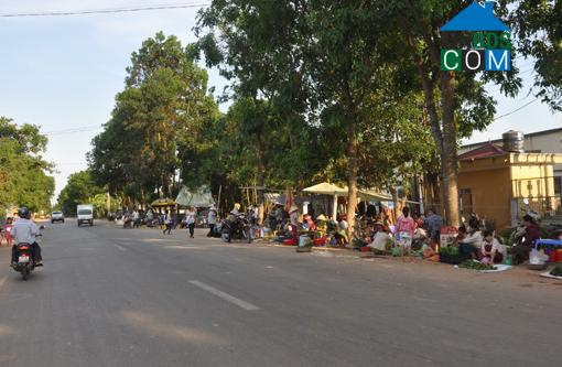 Hình ảnh Thọ Phú, Thanh Hóa