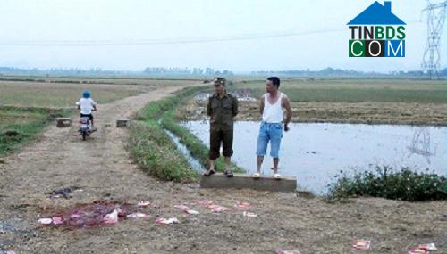 Hình ảnh Định Tân, Thanh Hóa