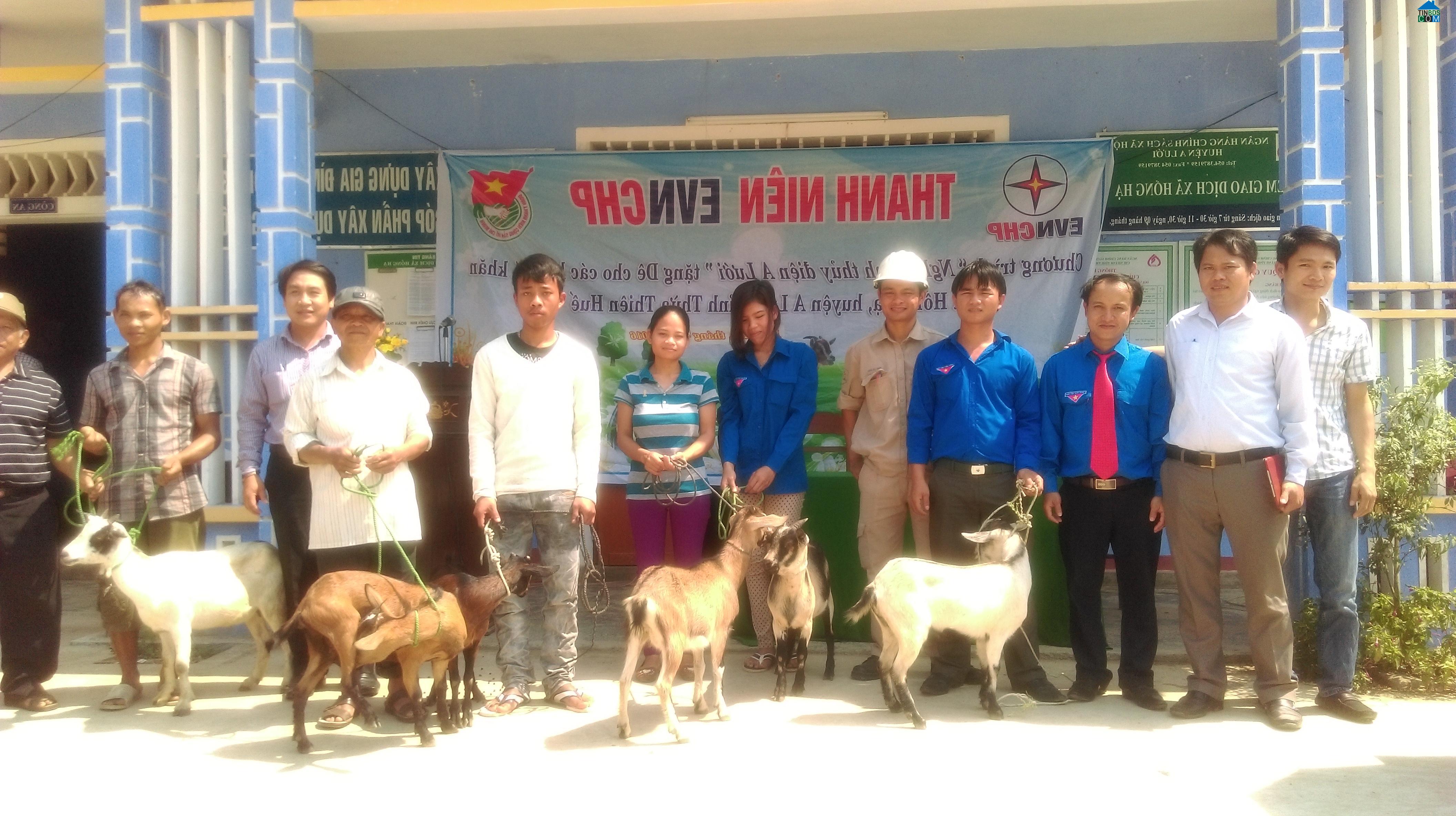 Hình ảnh A Lưới 5, Huế