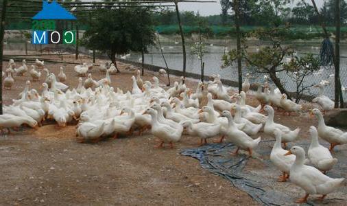 Hình ảnh Hương Thủy, Huế