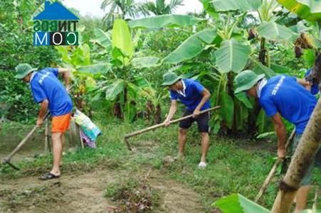 Hình ảnh Khe Tre, Huế