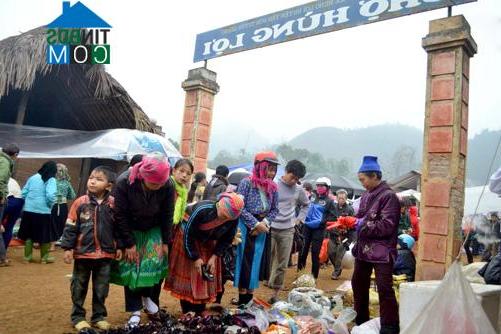 Hình ảnh Hùng Lợi, Tuyên Quang