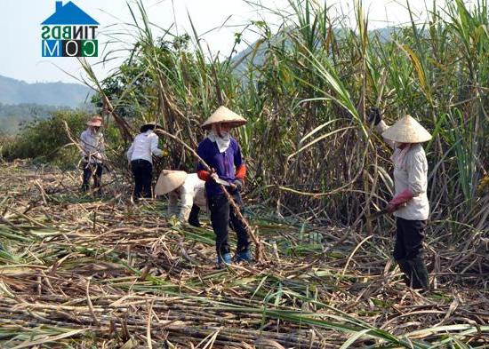 Hình ảnh Kim Bình, Tuyên Quang