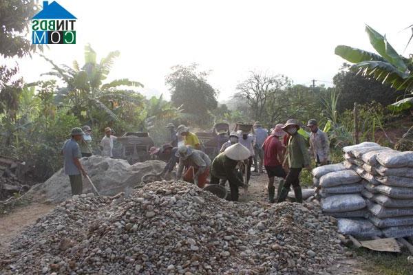 Hình ảnh Thái Bình, Tuyên Quang
