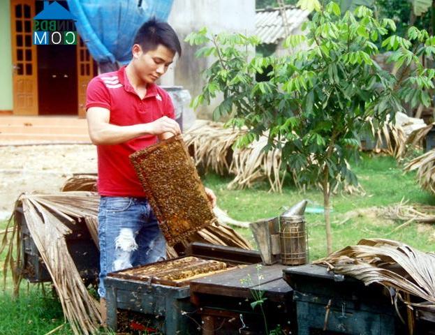 Hình ảnh Thái Hòa, Tuyên Quang