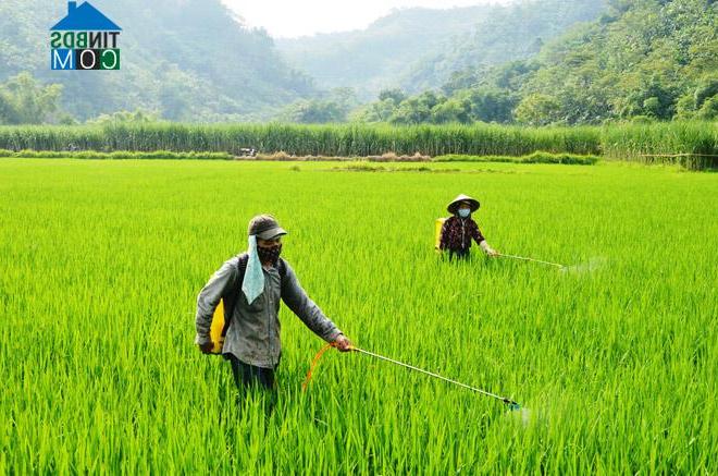 Hình ảnh Tri Phú, Tuyên Quang