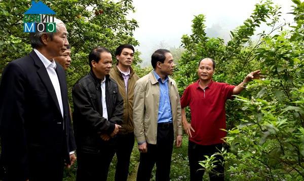 Hình ảnh Xuân Vân, Tuyên Quang