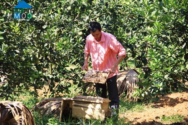 Hình ảnh Yên Sơn, Tuyên Quang