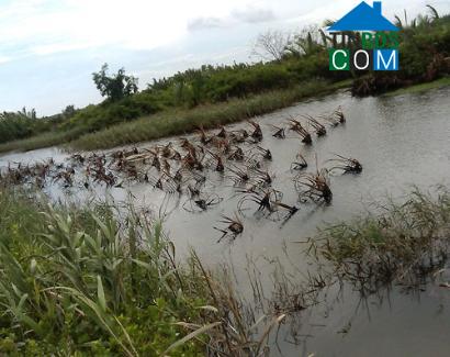 Hình ảnh Thạnh Trị, Vĩnh Long