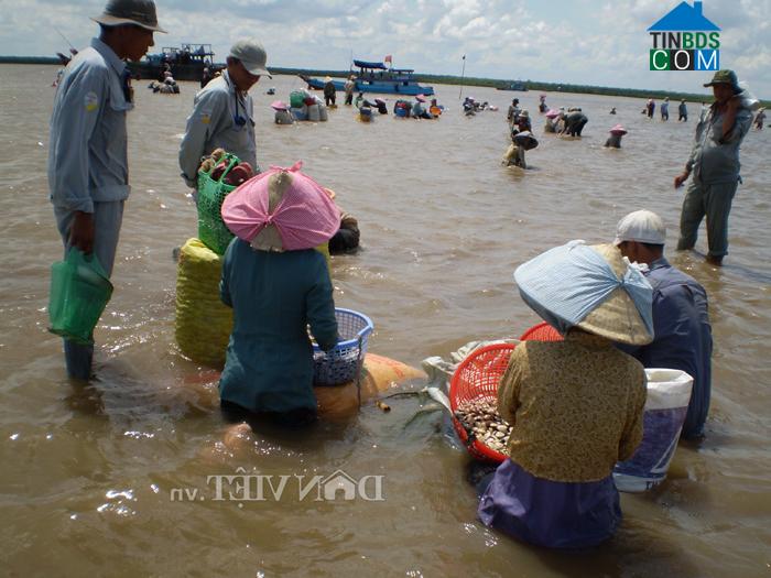 Hình ảnh Thới Thuận, Vĩnh Long