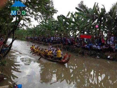 Hình ảnh Phong Thạnh, Vĩnh Long