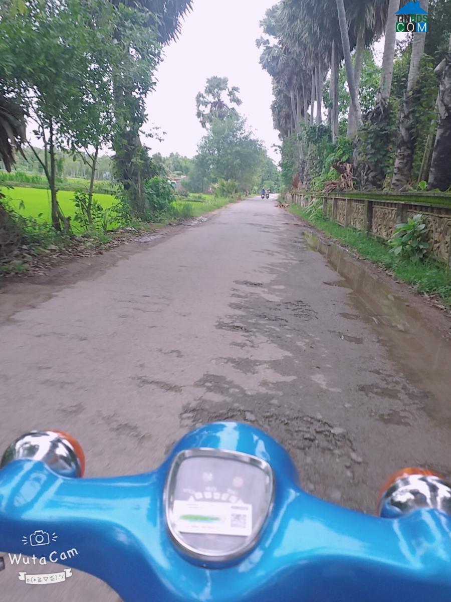 Hình ảnh Đôn Châu, Vĩnh Long