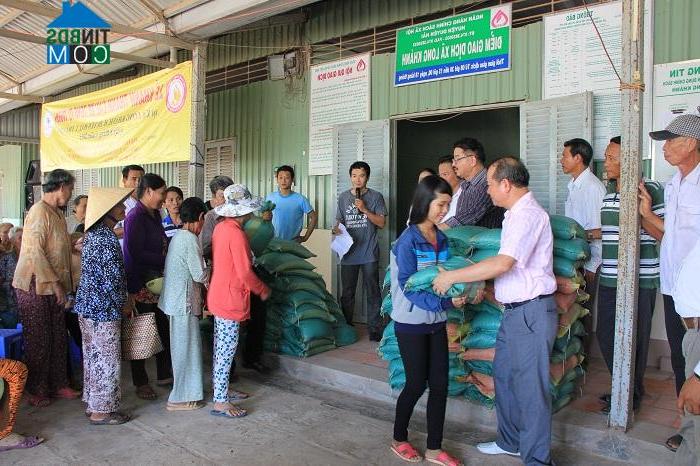 Hình ảnh Long Thành, Vĩnh Long