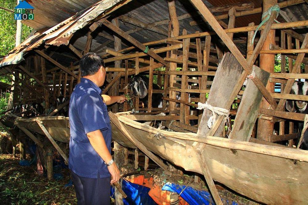 Hình ảnh Tân Lược, Vĩnh Long