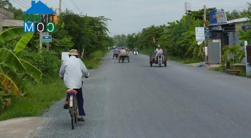Hình ảnh Tân Phú, Vĩnh Long
