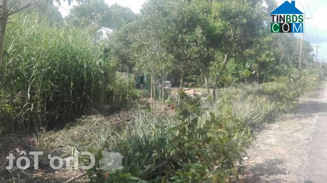 Hình ảnh Vĩnh Thuận Đông, Cần Thơ