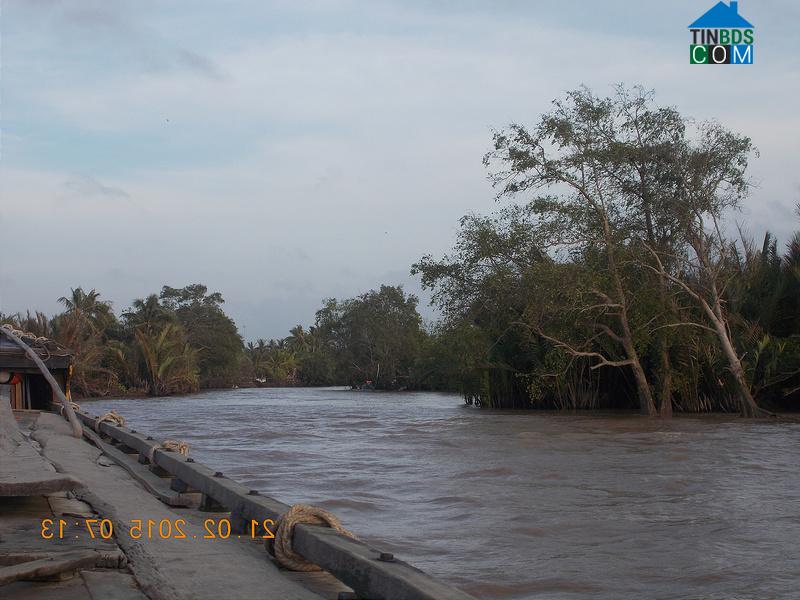 Hình ảnh Cù Lao Dung, Cần Thơ