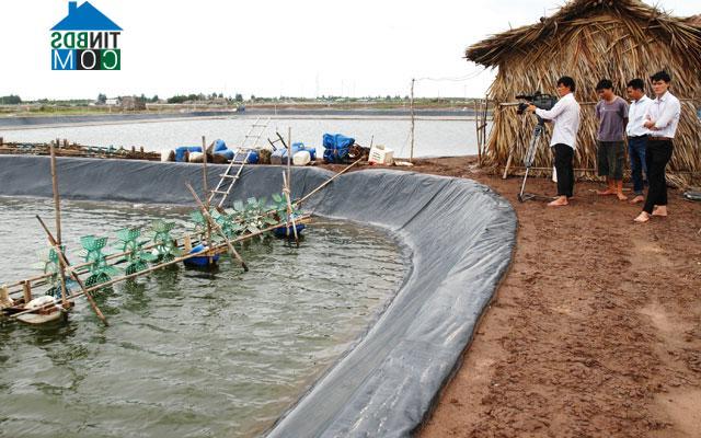 Hình ảnh Hoà Thành, Cà Mau