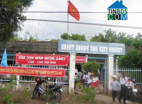 Hình ảnh Giá Rai, Cà Mau