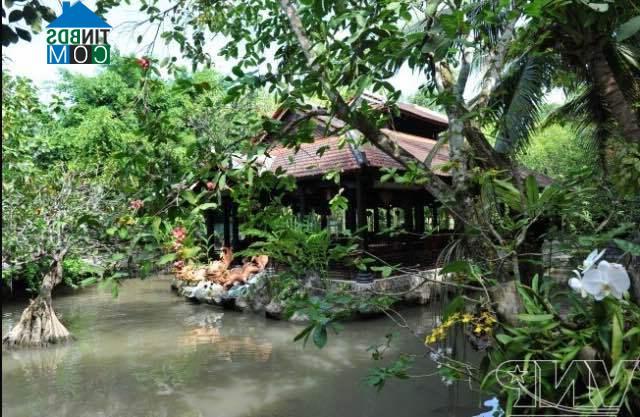 Hình ảnh An Bình, Cần Thơ