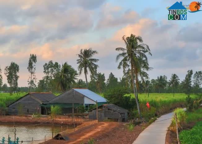 Hình ảnh An Thạnh, Cần Thơ