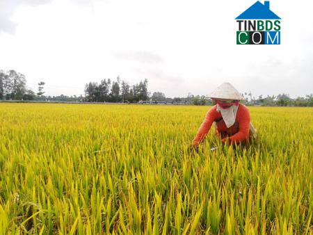 Hình ảnh Vị Thủy, Cần Thơ