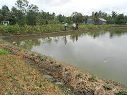 Hình ảnh Gia Hòa, Cần Thơ