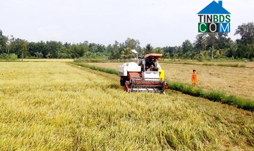 Hình ảnh Mỹ Tú, Cần Thơ