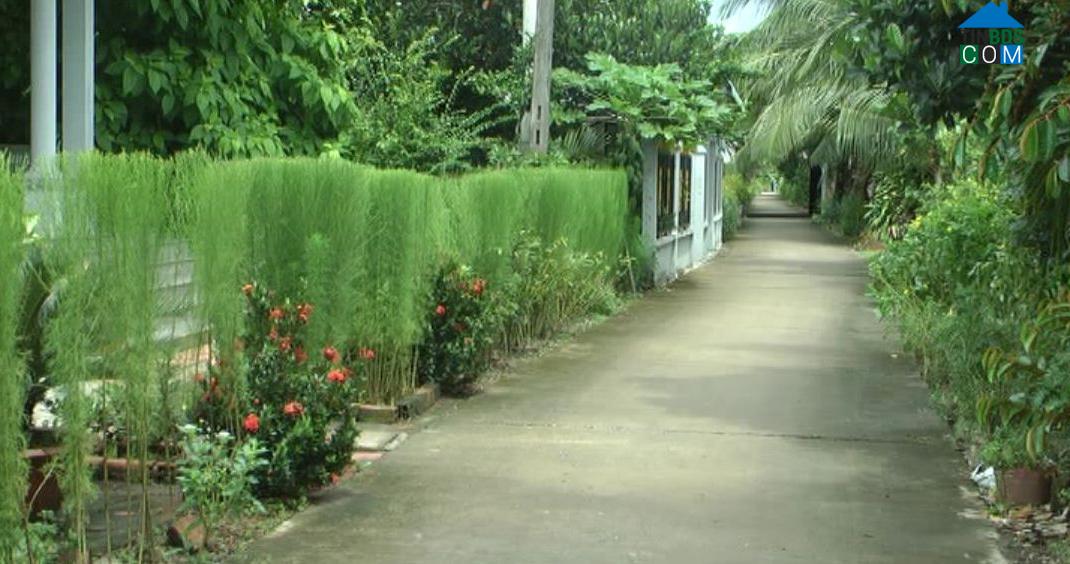 Hình ảnh Ngã Năm, Cần Thơ