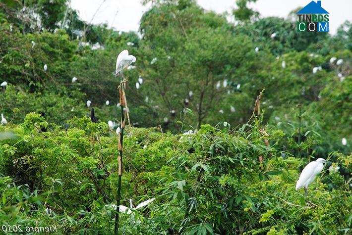 Hình ảnh Tân Long, Cần Thơ