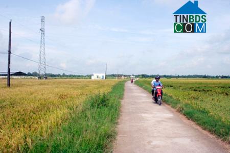 Hình ảnh Trường Khánh, Cần Thơ