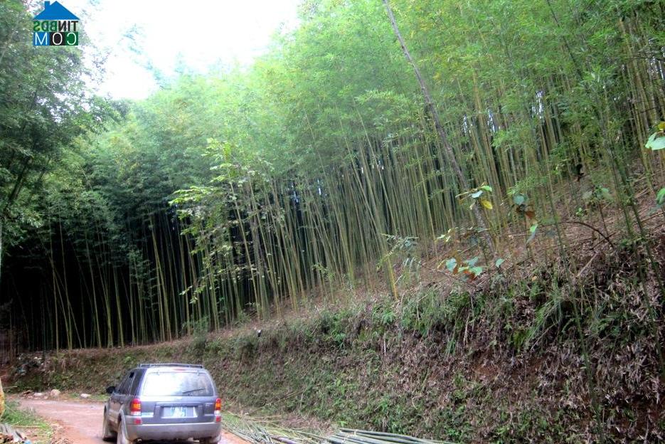 Hình ảnh Huy Giáp, Cao Bằng