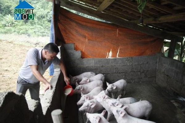 Hình ảnh Kim Đồng, Cao Bằng