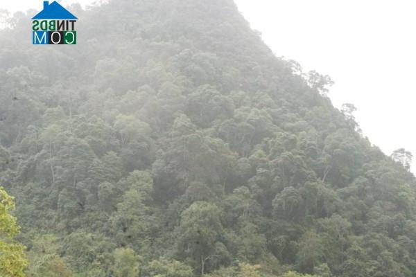 Hình ảnh Bế Văn Đàn, Cao Bằng