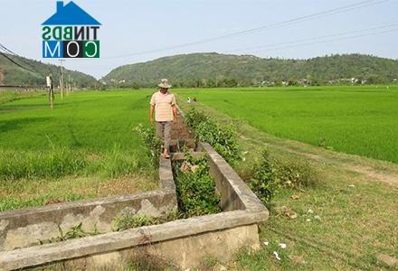 Hình ảnh Tuy An Bắc, Đắk Lắk