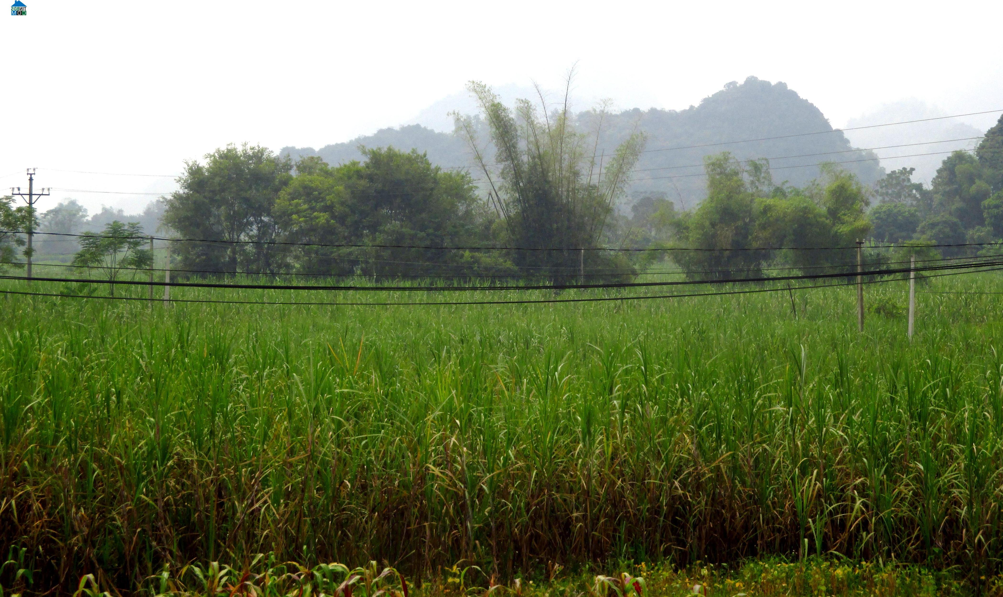 Hình ảnh Phục Hòa, Cao Bằng