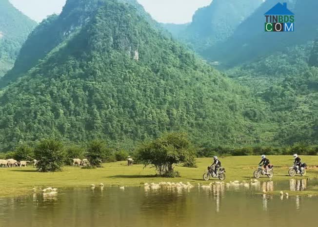 Hình ảnh Thanh Long, Cao Bằng