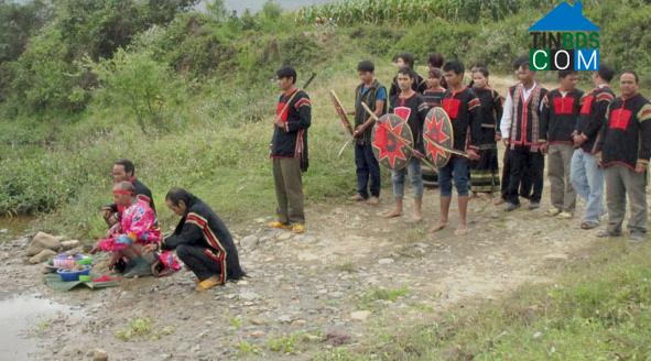 Hình ảnh Yang Mao, Đắk Lắk