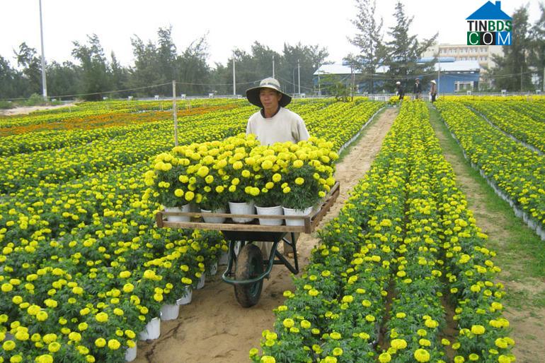 Hình ảnh Bình Kiến, Đắk Lắk